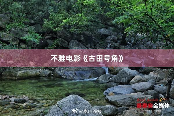 不雅电影《古田号角》