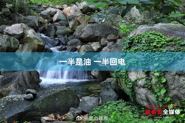 一半是油 一半回电